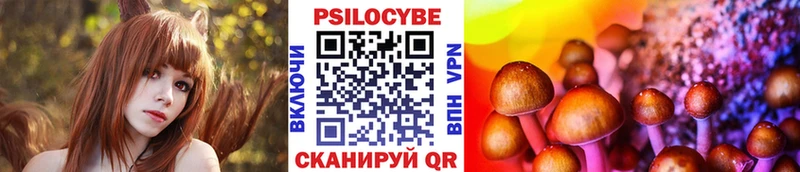 площадка состав  закладка  Минусинск  Псилоцибиновые грибы Psilocybe 